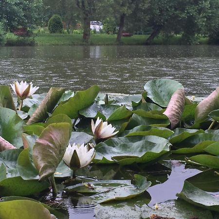 Fantanita Craiesei Otel Făgăraş Dış mekan fotoğraf